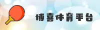使用指南与常见问题